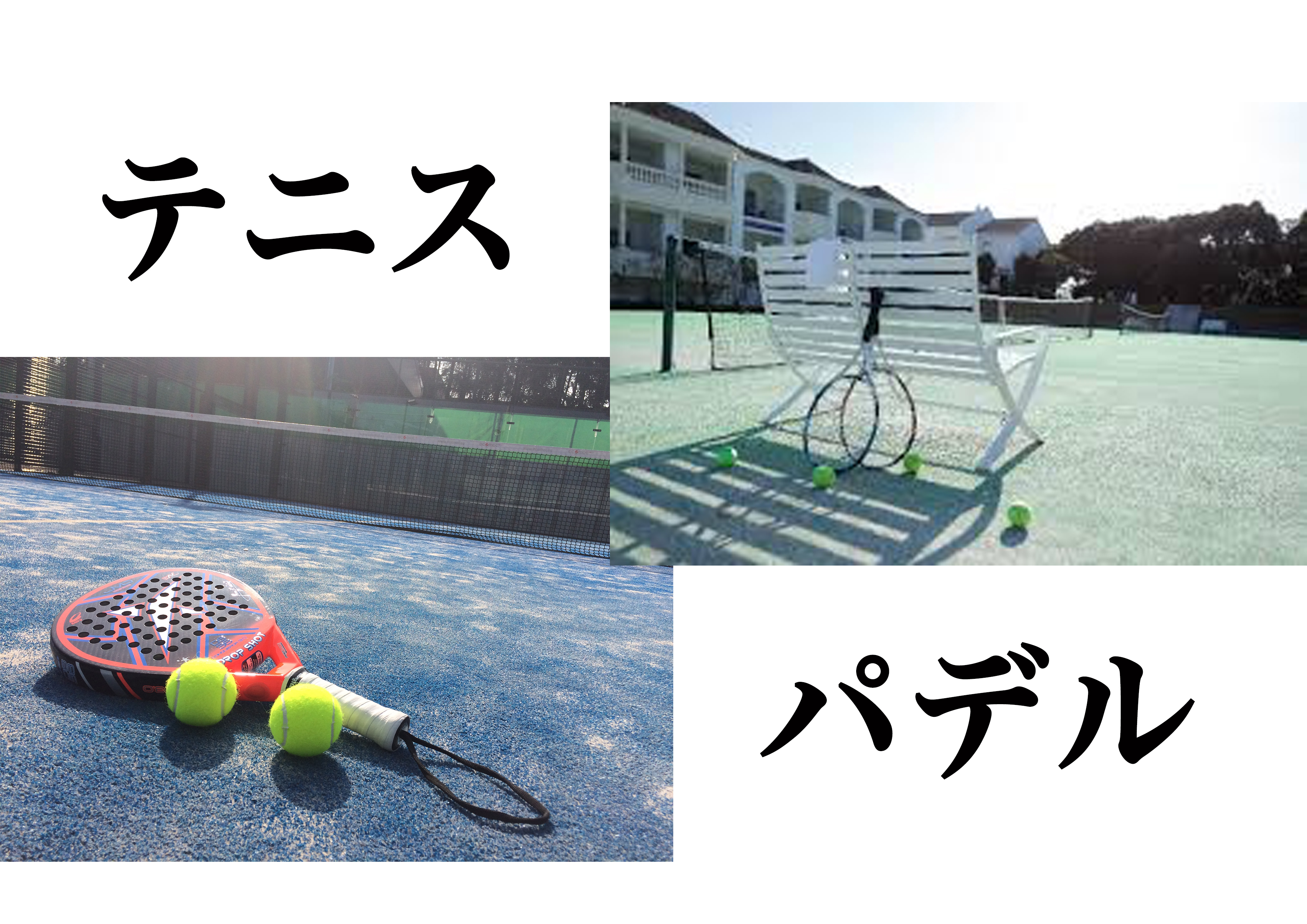 テニス×パデル