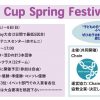 Chain Cup Spring Festival’18